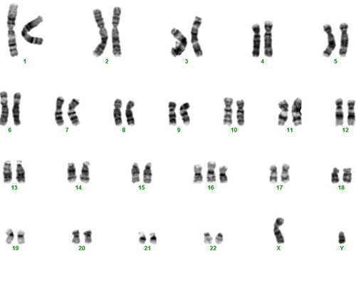 重庆三代试管婴儿医院名单(重庆三代试管婴儿*费用)