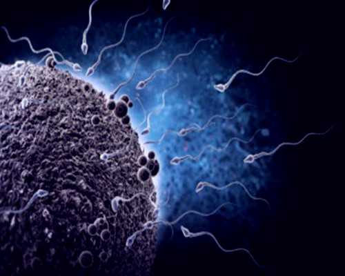 重庆试管婴儿供卵,重庆哪些医院可以试管婴儿！附总价格表一览！