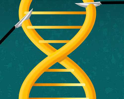 重庆供卵公司包男孩 2024年重庆哪家医院做试管婴儿好?附重庆试管医院排名 ‘