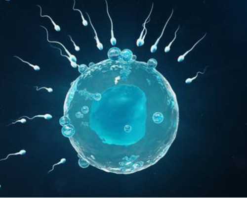 重庆代生儿子咨询,重庆人工授精的流程是怎么样的
						