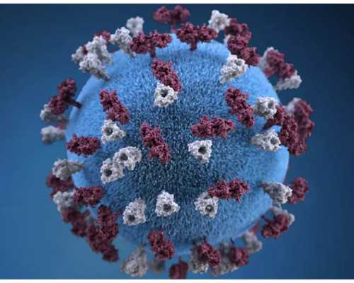 重庆失独家庭助孕,
              重庆中医院生殖科哪个医生助孕技术好点？
