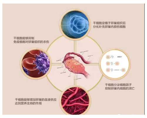 重庆试管怀孕生孩子，重庆试管怀孕：新生命的奇迹