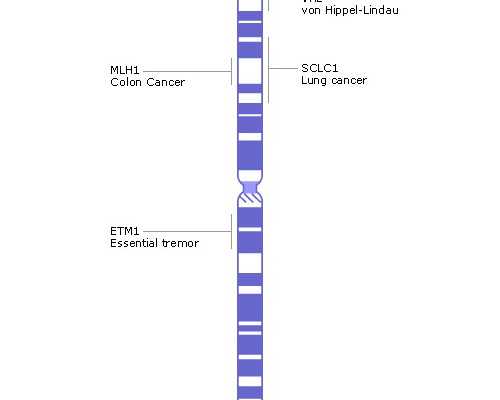 重庆给别人代怀多少钱 2024重庆不孕不育医院排名，附重庆生殖医院热门推荐