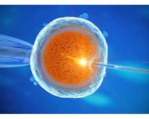 重庆可靠助孕中介 重庆供卵试管费用多少，2024重庆供卵试管费用预估 ‘一个月