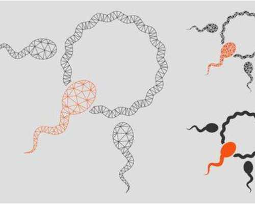 重庆代怀招聘 重庆试管医院哪家好? ‘孕囊4.0X3.0X1.5是男是女’