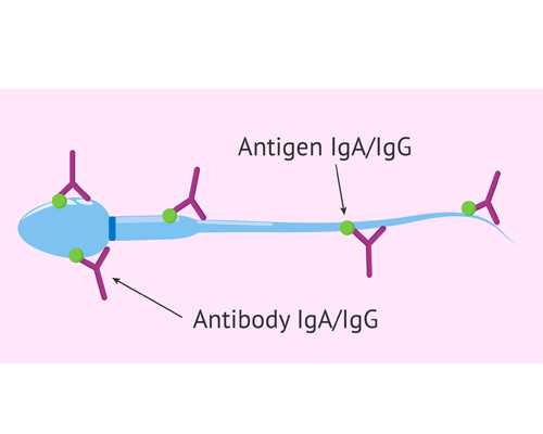 重庆供卵费用明细 重庆试管助孕机构排名重庆医科大学附属第二医院 ‘四维下