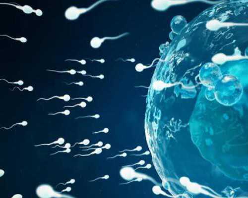 重庆供卵包成功多少钱 重庆地区 ‘32周双顶径看男女’